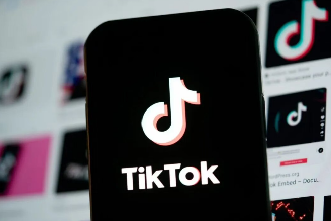 TikTok加码越南物流,计划投资9.8亿美元